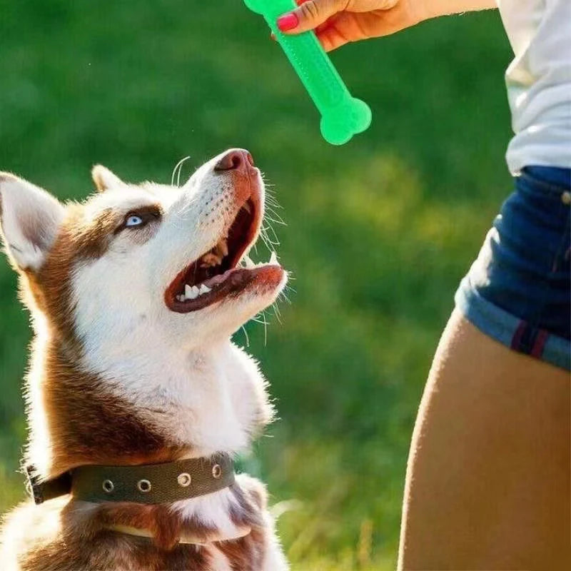 DentaBone™ — Rubber Dental Chew Toy for Dogs